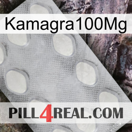 Kamagra100Mg 16